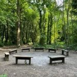 Woodland school